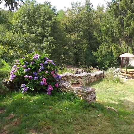 Gite Moulin De Ludieras Busserolles المظهر الخارجي الصورة