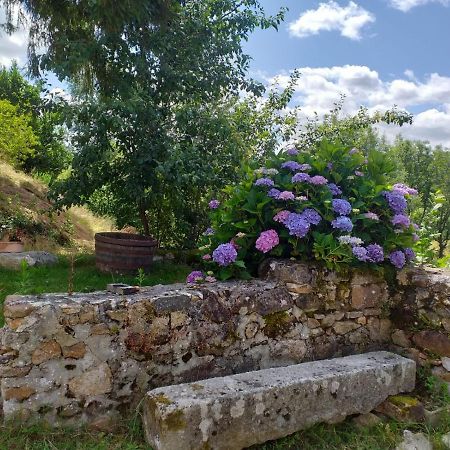 Gite Moulin De Ludieras Busserolles المظهر الخارجي الصورة