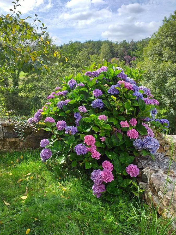 Gite Moulin De Ludieras Busserolles المظهر الخارجي الصورة